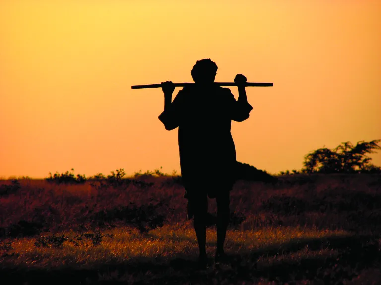 When we sin (no matter how seemingly small or justified), we distance ourselves from the safety and protection of our Shepherd. When we sin (no matter how seemingly small or justified), we distance ourselves from the safety and protection of our Shepherd.