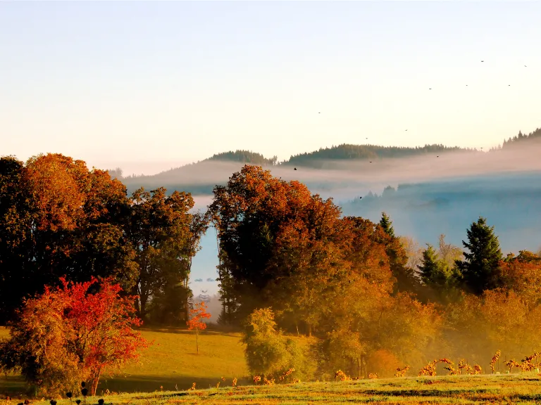 Eugene in the fall