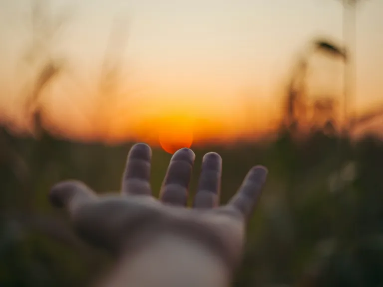 A hand reaching out.