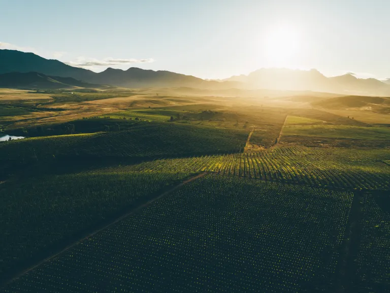 Amid South Africa’s sweeping fields, a deeper conflict brews—over land, legacy, and justice. As nations grapple with history and human rights, only God’s Kingdom promises lasting peace and equality for all. Farmlands in South Africa.