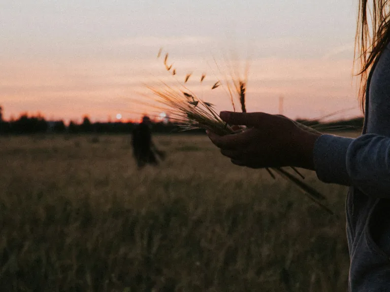 Pentecost celebrates the giving of the Holy Spirit and the beginning of God’s Church—marking the start of a spiritual harvest through the power of God working in His people. A woman holding some grain in her hands.