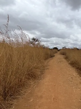 Zimbabwe Drought Relief