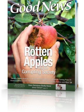 The Good News November-December 2013