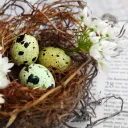 A basket with Easter eggs on a Bible.