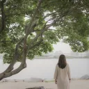 A woman standing under a tree and looking into the distance at a cityscape.