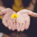 a pair of open palms on either side of a yellow flower