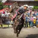 a man riding a bull in a rodeo with a crowd of people watching