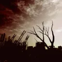 O que é o “Dia do Senhor”?