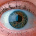 Close up of a human eye.