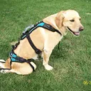 Giving Glory to the Father