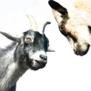 O Dia da Expiação: Remoção da Causa do Pecado e Reconciliação com Deus