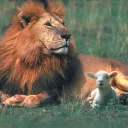 A Festa dos Tabernáculos: Jesus Cristo Reina sobre Toda a Terra