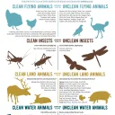 Quais animais designa a Bíblia como 'limpos' e 'imundos' ?