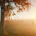 A tree and field covered in a foggy haze.