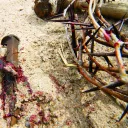 A crown of thorns, nails, hammer and post.