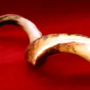 A shofar - ram's horn.