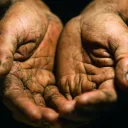 Old weathered hands cupped.