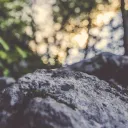 The top of a rock with sunlight and trees in the background.