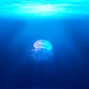 A large jellyfish swimming in the deep blue ocean.