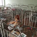 Abandoned children's daycare center in Pripyat, Ukraine.