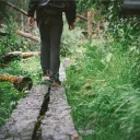 A person walking on wood beams in a forest.