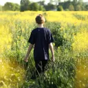 A young boy walking in a field of yellow flowers.