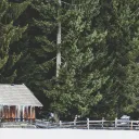 A old shack in a forest.