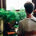 A young man sitting in a chair looking out a window.