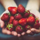 A woman's hands cupped holding strawberries.