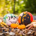 Halloween drawings on pumpkins.