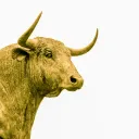 We must not have any other god before God the Father.