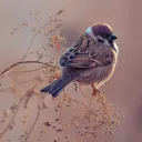 A small bird sitting on a twig of bush.
