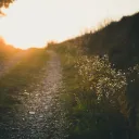 Um caminho rochoso com raios de sol ao final.