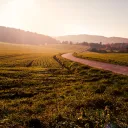 Um caminho sinuoso no campo.