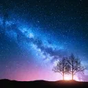 Trees with sun rays behind them.