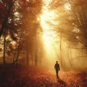 A person walking in the forest.