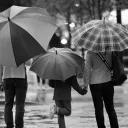 A family walking in the rain while holding umbrellas.