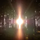 A bright light shining through trees.