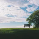 Photo of an empty park bench in a grassy park next to a tree.