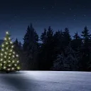 A christmas tree with lights in a snowfield.