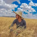 A man wearing a straw hat sits in a grain field under a blue sky dotted with clouds.