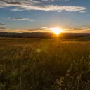 A sunset over a field.