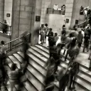 Lots of people going up and down steps in a building - looking busy.