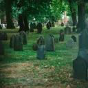 a green field filled with tombstones and shaded by trees