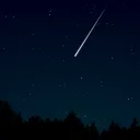 a night sky with trees silhouetted below a starry sky with a shooting star