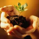 Plant growing in hand - Are We Thriving or Just Coping?