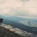 Are You Painfully Shy?