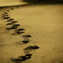 Footprints in sand.