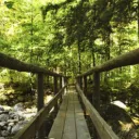 Separating Salvation From People