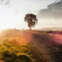 In Your Presence is the Fullness of Joy